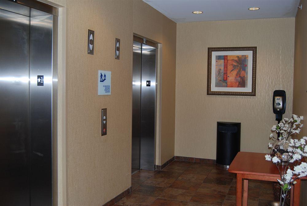 Holiday Inn Express Hotel & Suites Auburn Hills By Ihg Exterior foto